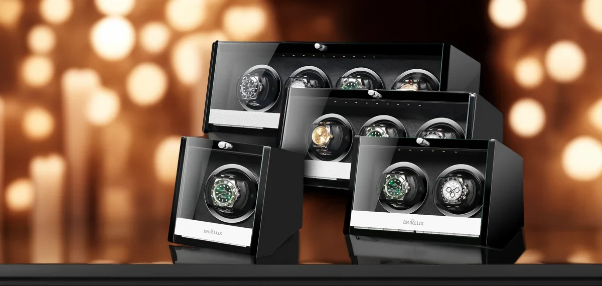 Elevate Your Timeless Collection